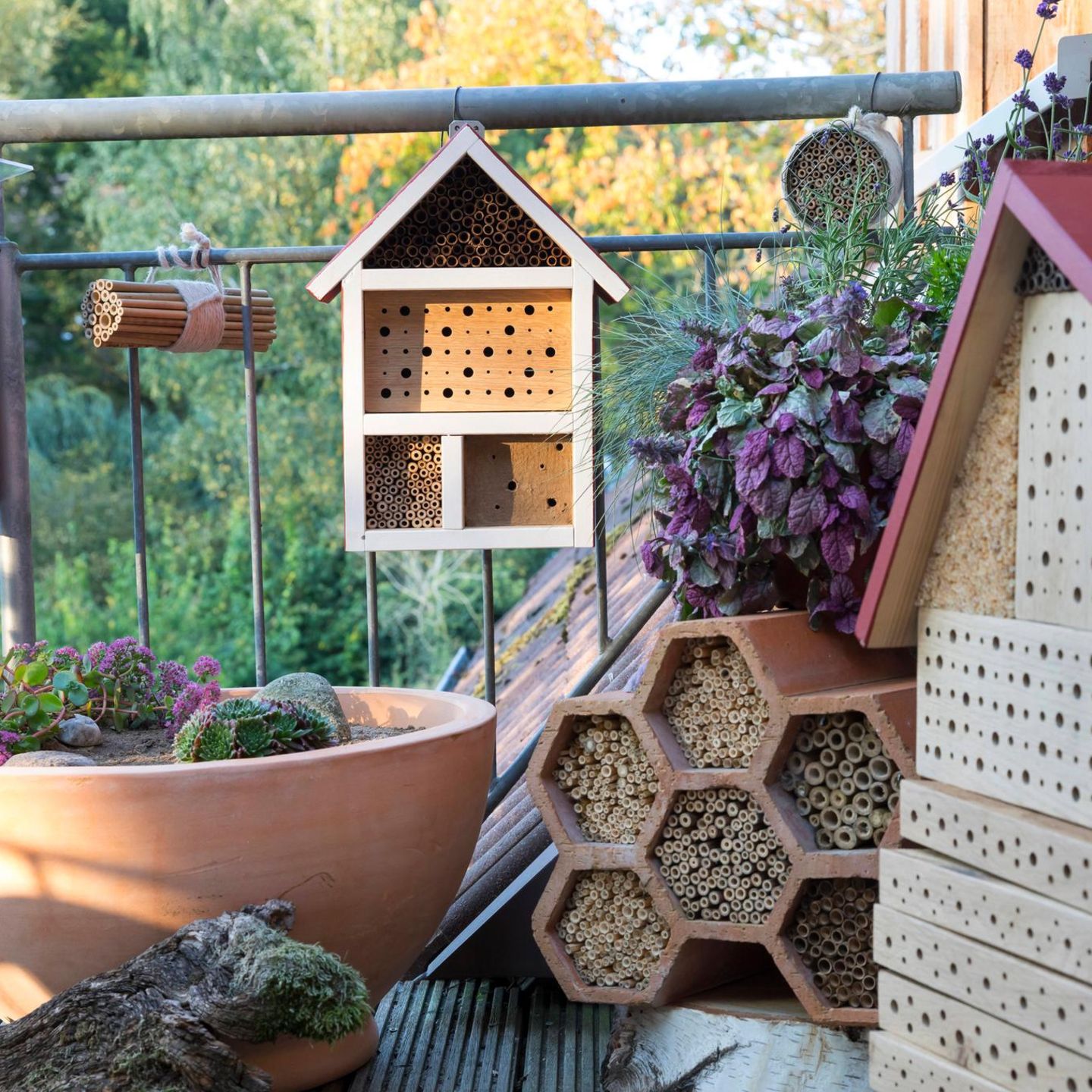 Wildbienen Nisthilfe auf dem Balkon