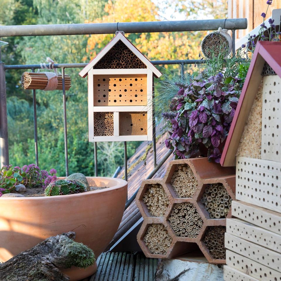 Wildbienen Nisthilfe auf dem Balkon