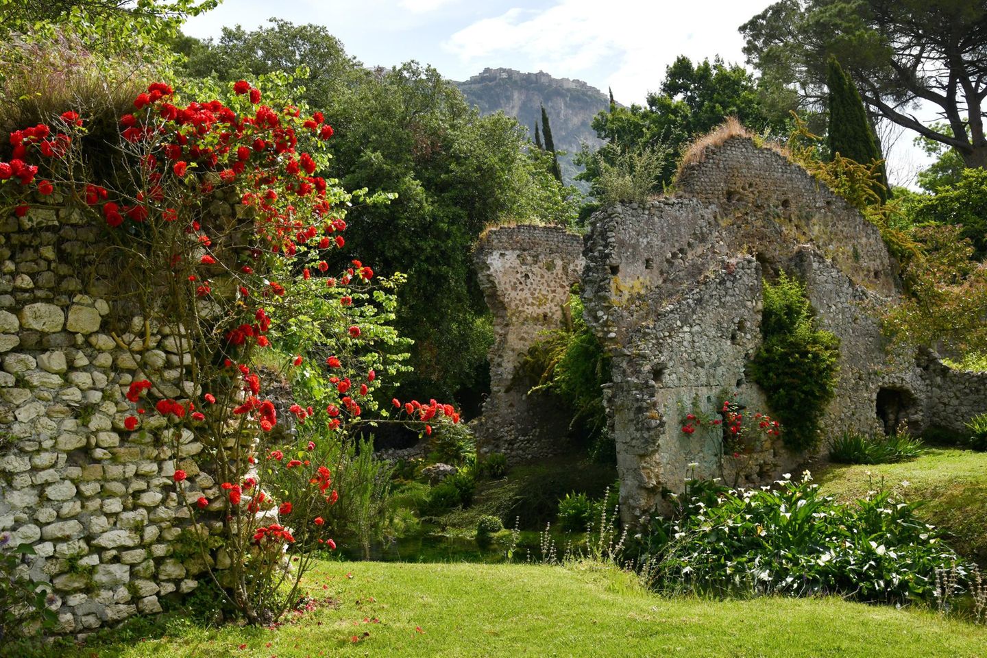 Climbing roses on ruins. The garden of Ninfa ( Giardino di Ninfa) typical English garden started by the owners Caetani in 1920 Cisterna di Latina