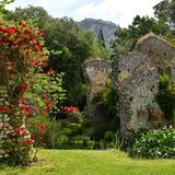 Climbing roses on ruins. The garden of Ninfa ( Giardino di Ninfa) typical English garden started by the owners Caetani in 1920 Cisterna di Latina
