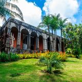 Sitio Roberto Burle Marx site, a landscape garden, UNESCO World Heritage Site, Rio de Janeiro, Brazil, South America