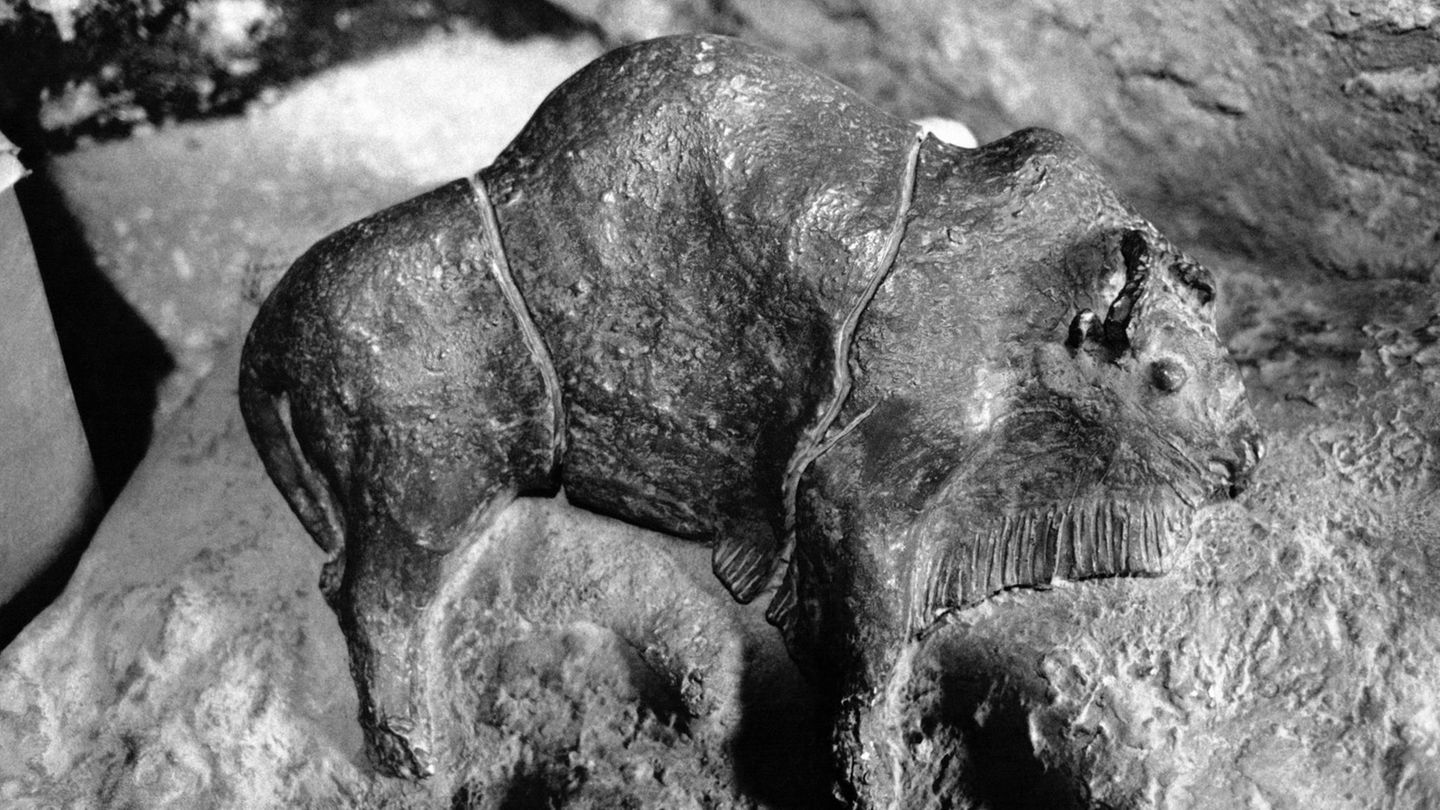 Botschaften aus der Steinzeit: Forschende sind dem Geheimnis der Höhlenkunst auf der Spur | GEOplus