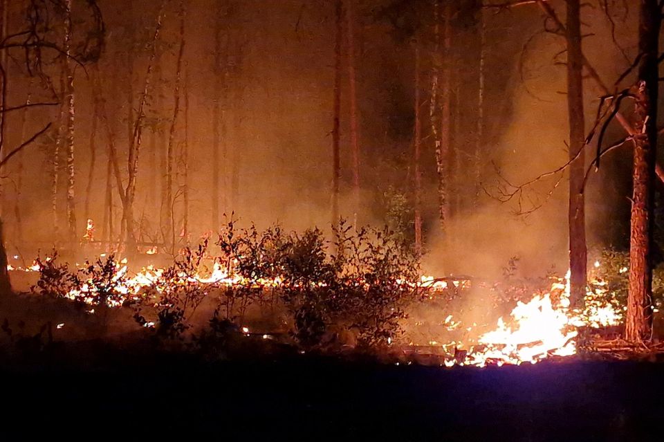Flammen schlagen in die Höhe in einem Waldstück nahe Jüterbog, südlich von Berlin. Dort brennt 2023 eine Fläche von 326 Hektar  1.7762