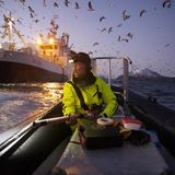 Biologe Audun Rikardsen an einem norwegischen Fjord, wo er Wale mit Sendern ausstattet