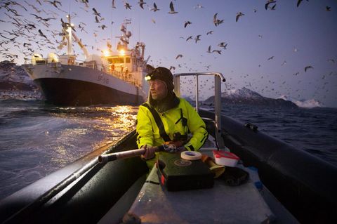 Biologe Audun Rikardsen an einem norwegischen Fjord, wo er Wale mit Sendern ausstattet