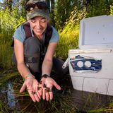 Forscherin Kate Belleville, die in einem kalifornischen Nationalpark lachend winzig kleine Frösche in ihren Händen hält