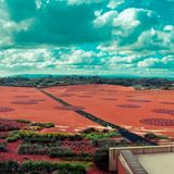 Royal Botanic Gardens, Cranbourne, Australien