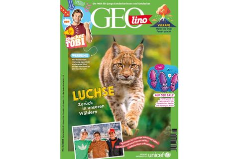 Cover GEOlino 05-2025: Luchse