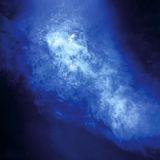 Sandra Chen Weinsteins Fotoprojekt "Transcend"