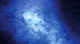 Sandra Chen Weinsteins Fotoprojekt "Transcend"