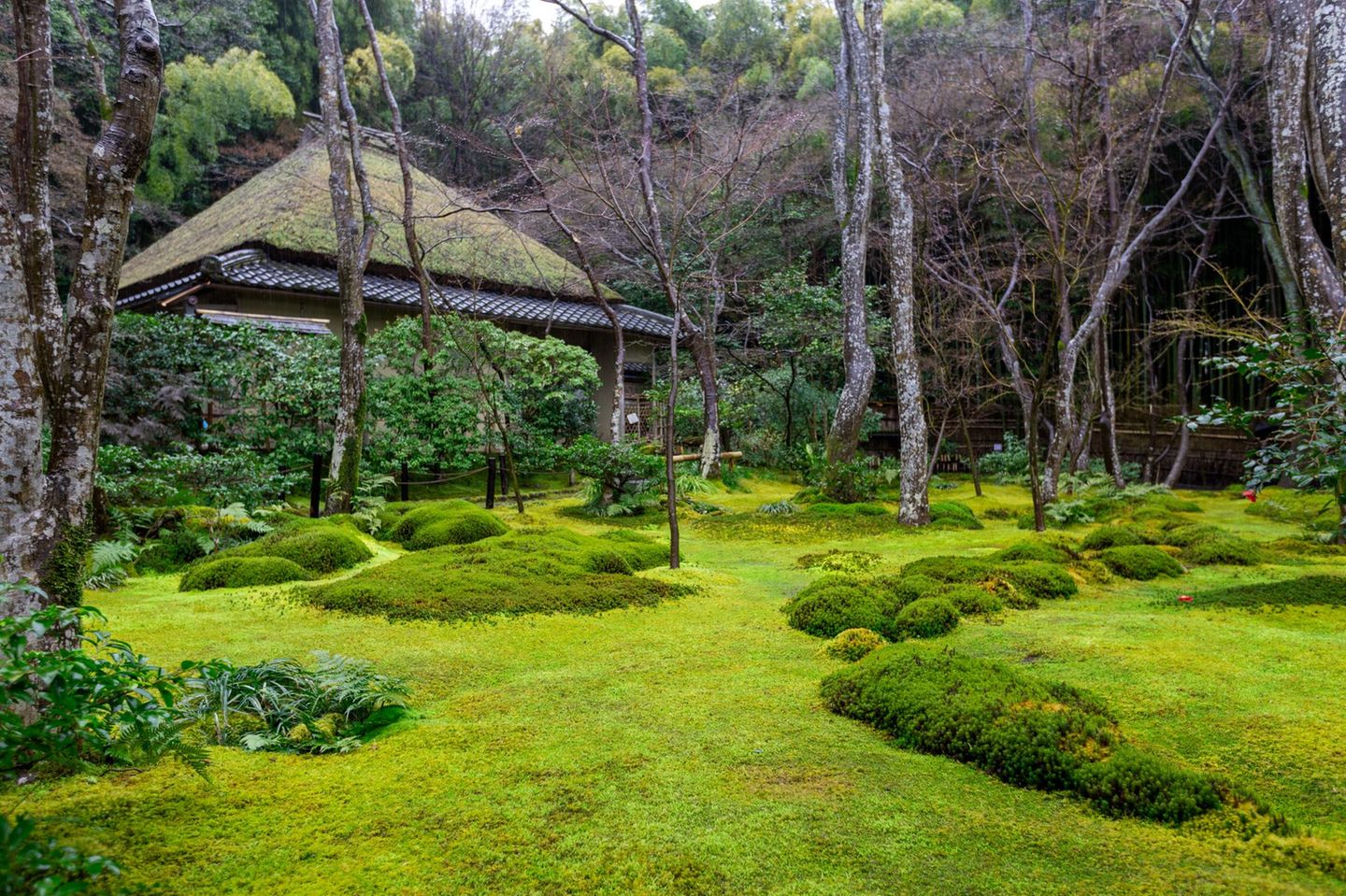 Saihoji-Tempel und Moosgarten, Kyoto, Japan