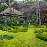 Saihoji-Tempel und Moosgarten, Kyoto, Japan