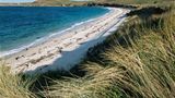 European Beachgrass grasses (Ammophila arenaria) and Great Bay, England, Isles of Scilly, St Martin's