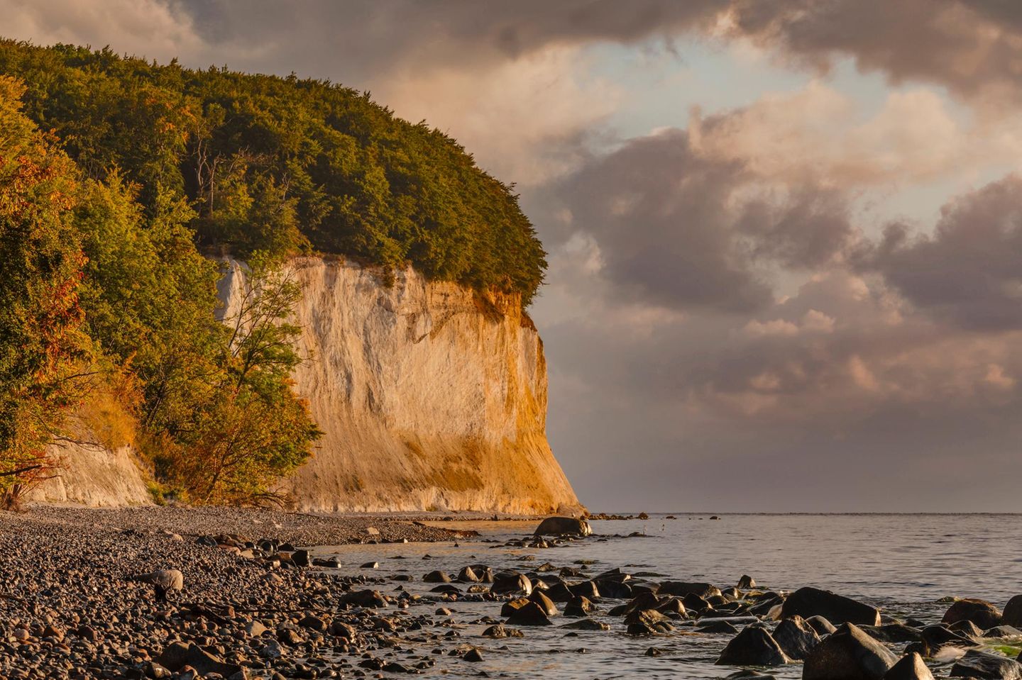 Kreidefelsen im Nationalpark Jasmund, Sassnitz, Rügen, Mecklenburg-Vorpommern, Deutschland