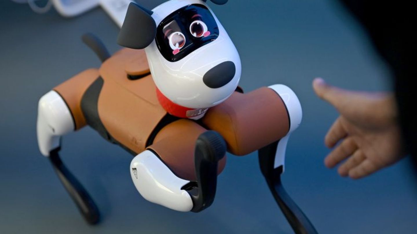 Zukunftstechnologie-Vom-Labor-in-die-Realit-t-Wo-China-Roboter-einsetzen-will
