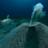 Versteckt in den Küstensanden Spaniens spülen Würmer Sand aus ihren Röhren – ein unscheinbares Schauspiel, aber eines mit globaler Bedeutung. Als Teil der verborgenen Endofauna durchlüften solche Weichtiere an vielen Stellen den Meeresboden, verteilen Nährstoffe und erschaffen so die Grundlage für artenreiche Biotope, darunter Seegraswiesen, Flussmündungen und Tiefseeschlick. Dieses Bild, Ergebnis ausdauernder Tauchgänge, zeigt einen flüchtigen Moment stiller, aber elementarer Aktivität und zählt zu den ausgezeichneten Bildern beim diesjährigen Environmental Award 2025.