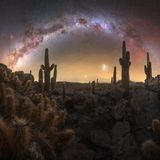 Milchstraße über dem Atacama-Kaktustal