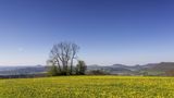 Blick von der Kuchalb auf das Albvorland und mit Hohenstaufen, Stuifen und Rechberg
