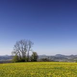 Blick von der Kuchalb auf das Albvorland und mit Hohenstaufen, Stuifen und Rechberg