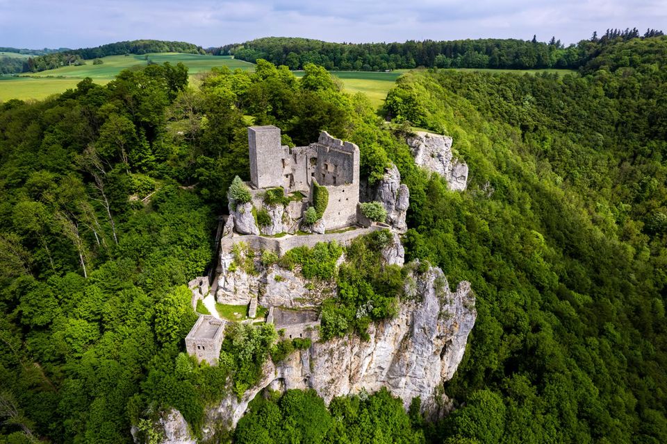 Ruine Reußenstein am Fels, umgeben von dichtem Wald 1.5015