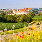 Harburger Burg auf dem Albsteig