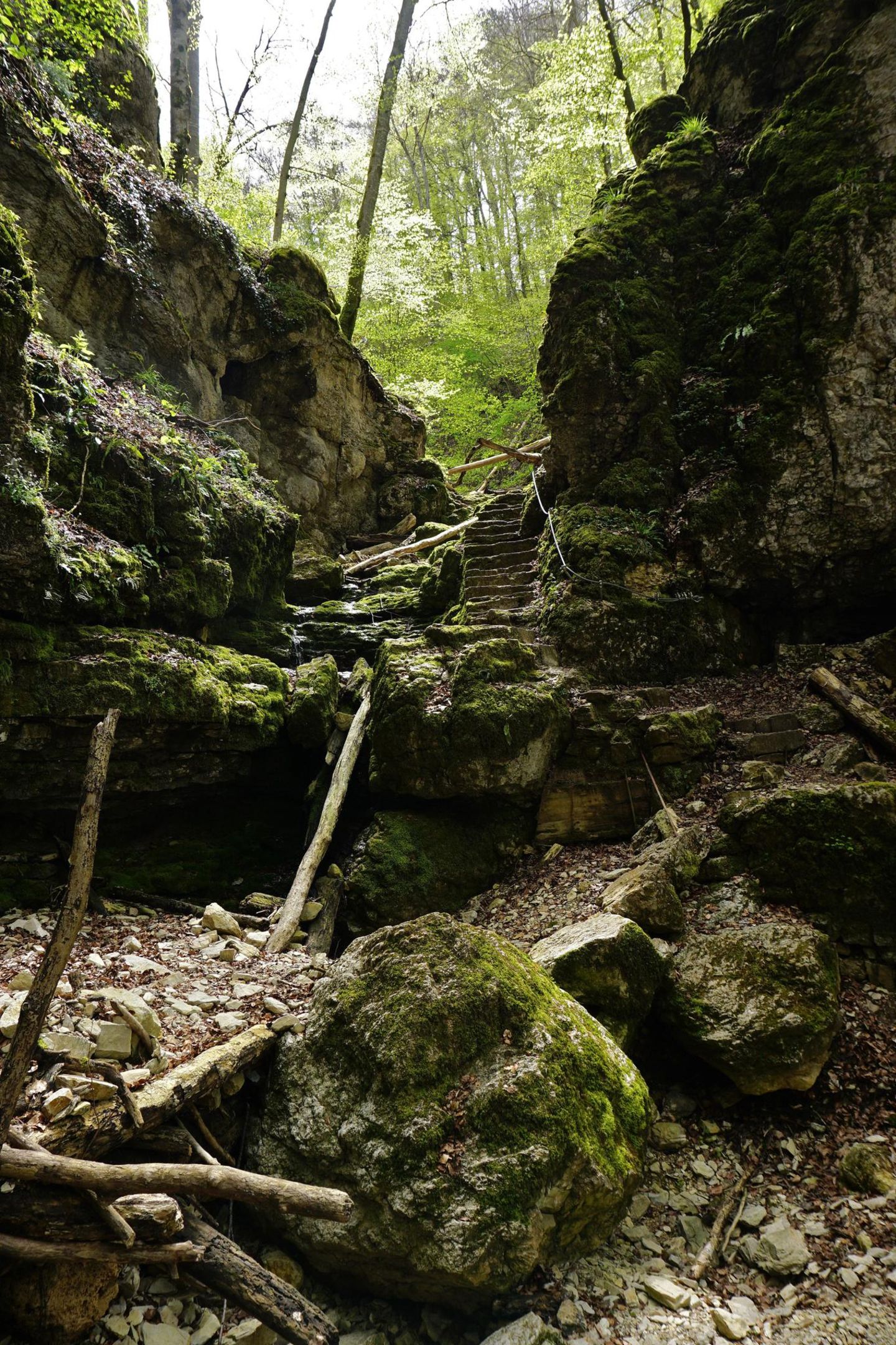 Durch Streuobstwiesen und Schluchten Wolfsschlucht am Premiumwanderweg Hohenwittlingensteig