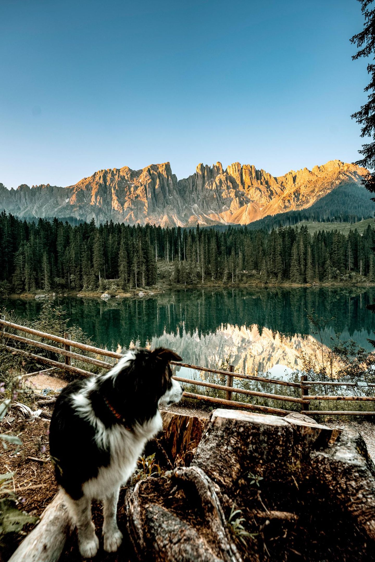 Auf vier Pfoten um den Karersee Seite 256