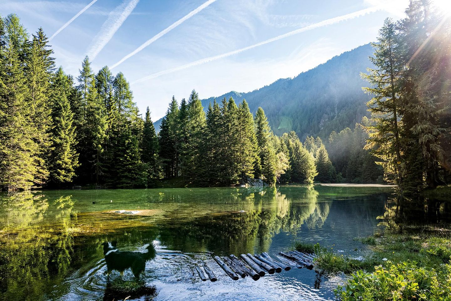 Abkühlung beim Tarscher See Seite 38