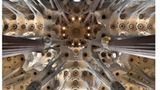Die Säulen der Sagrada Familia erinnern an Baumstämme, die sich an der Decke zu einer Krone öffnen. Diese und unzählige weitere Details machen den Besuch der imposanten Basilika lohnenswert. Der berühmte Architekt Antoni Gaudí fand in ihrem Bau sein Lebenswerk: 1883 nahm er die Arbeit auf und führte sie bis zu seinem Tod 1926 weiter. Bis heute ist das imposante Bauwerk nicht fertiggestellt. Ob die Arbeiten bis zum 100. Todestag Gaudís finalisiert werden können, ist unklar. Einmal vollendet soll die Sagrada Familia die höchste Kirche der Welt sein.