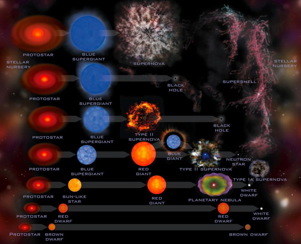 Astronomie: Tatsächlich existieren noch weit mehr Evolutionswege, die Sterne, abhängig von ihrer Masse, durchlaufen. Die wichtigsten listet diese englischsprachige Übersicht der Nasa auf. Sie zeigt unter anderem, dass unter dem Begriff "Supernova" ganz unterschiedliche Formen von Sternenexplosionen zusammengefasst werden. Tatsächlich existieren noch weit mehr Evolutionswege, die Sterne, abhängig von ihrer Masse, durchlaufen. Die wichtigsten listet diese englischsprachige Übersicht der Nasa auf. Sie zeigt unter anderem, dass unter dem Begriff "Supernova" ganz unterschiedliche Formen von Sternenexplosionen zusammengefasst werden.