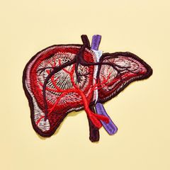 Gestickte Leber, Illustration
