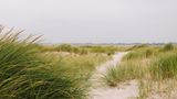 Deutschland, Schleswig-Holstein, Insel Amrum, Wanderung rund um Wittdün im Kniepsand