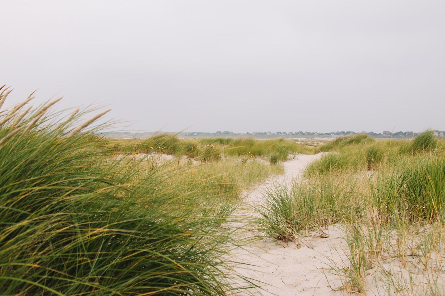 Deutschland, Schleswig-Holstein, Insel Amrum, Wanderung rund um Wittdün im Kniepsand