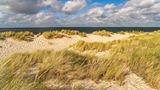 Dünenlandschaft an der Küste des Ellenbogen bei Insel Sylt, Kreis Nordfriesland, Schleswig-Holstein, Deutschland, Europa