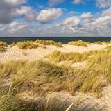 Dünenlandschaft an der Küste des Ellenbogen bei Insel Sylt, Kreis Nordfriesland, Schleswig-Holstein, Deutschland, Europa