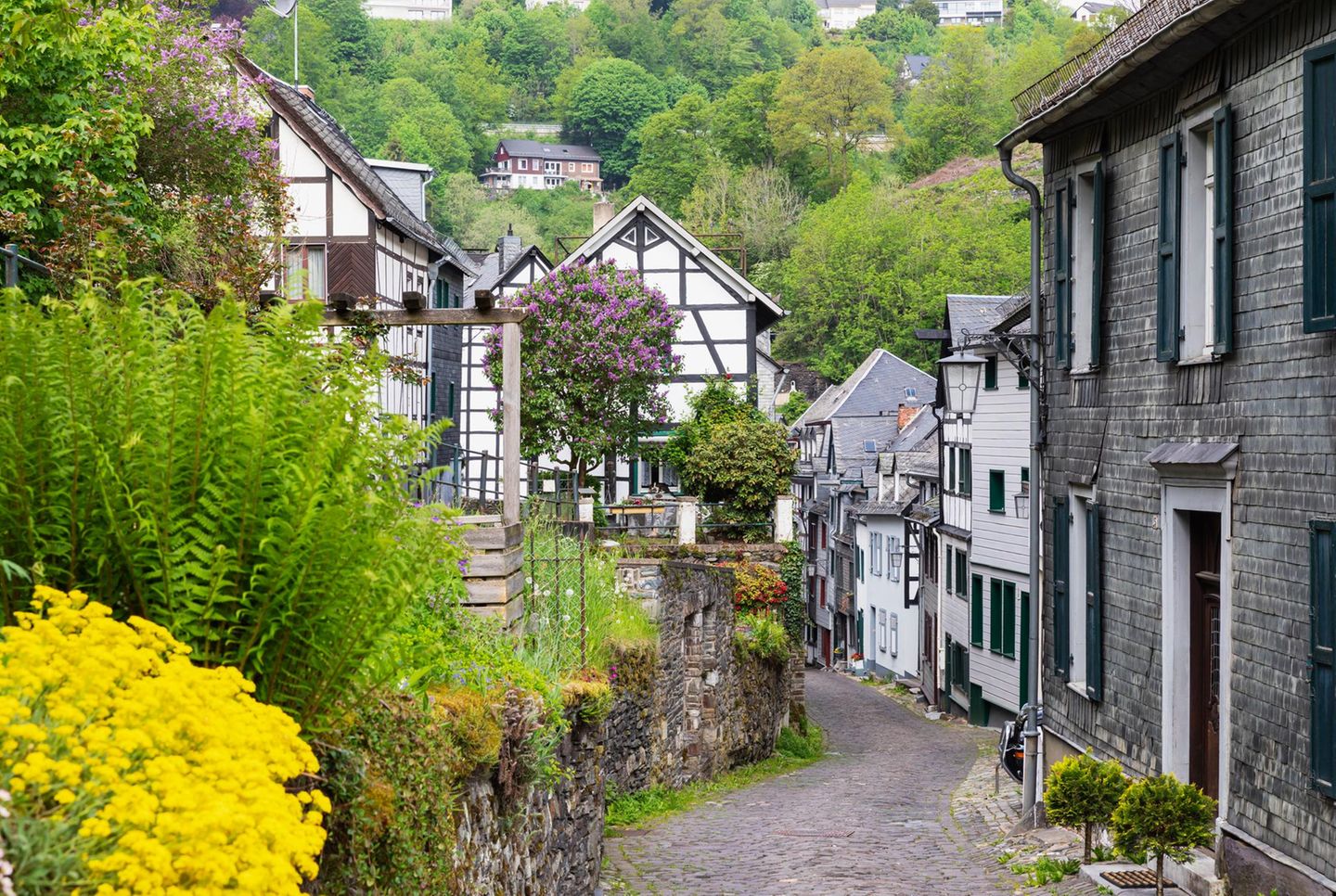 Monschau, Nordrhein-Westfalen Deutschland, Nordrhein-Westfalen, Monschau, Gasse zwischen historischen Stadthäusern
