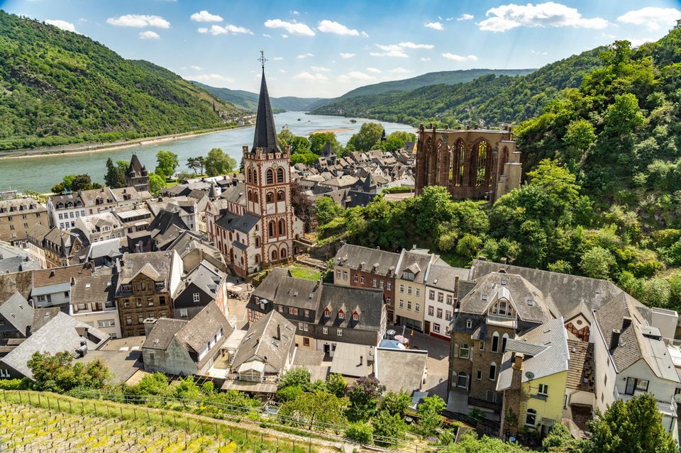 Bacharach mit der Evangelischen Kirche St. Peter, der Ruine der gotischen Wernerkapelle und der Rhein von oben gesehen, Welterbe Oberes Mittelrheintal, Rheinland-Pfalz, Deutschland