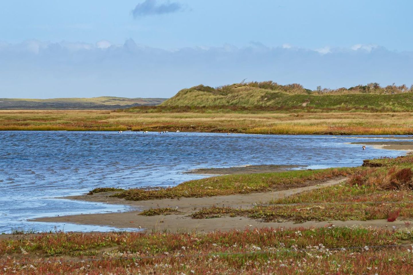 De Slufter: Wandern zwischen Dünen und Meer Panoramaaufnahme vom Naturschutzgebiet De Slufter auf der Insel Texel