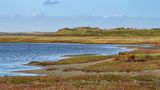 Panoramaaufnahme vom Naturschutzgebiet De Slufter auf der Insel Texel