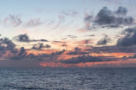 Untersucht wurde eine Region nördlich von Hawaii, die sogenannte Nordpazifische Übergangszone