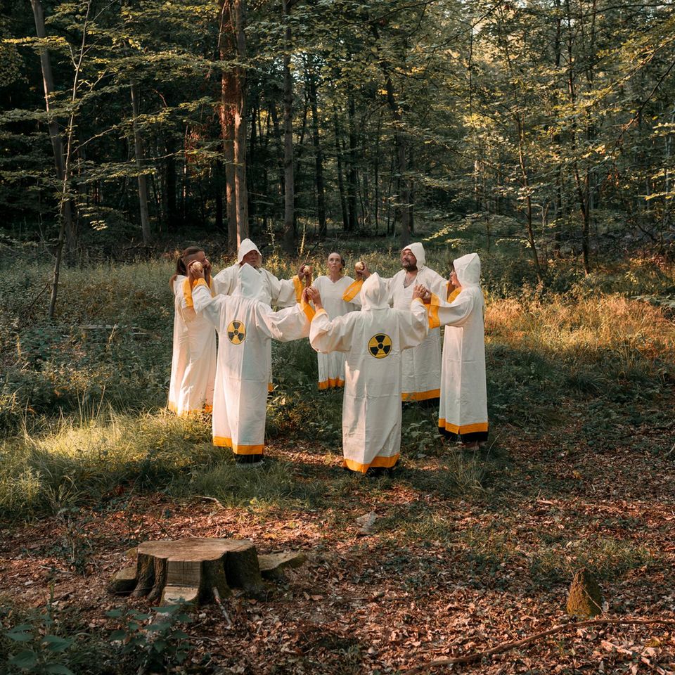 Münsterländer Performancegruppe im Wald