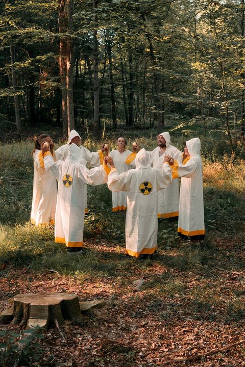 Münsterländer Performancegruppe im Wald