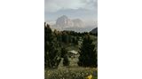 Im Vordergrund blühende Bergwiesen und sanfte Hügel, im Hintergrund das schroffe Bergpanorama: Der Naturpark Puez-Geisler ist ein Paradies für Landschaftsfotografen.