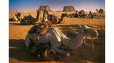 Im Herzen der Sahara liegt das Ennedi-Massiv, dessen weitläufige Landschaft aus Felsformationen, Schluchten und natürlichen Wasserbecken, den Gueltas, besteht. Hier leben die Tubu, ein nomadisches Wüstenvolk, das sich an die Bedingungen der kargen Landschaft angepasst hat. 