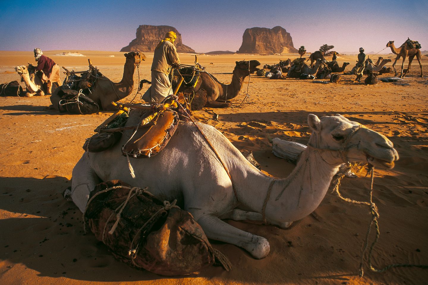 Im Herzen der Sahara liegt das Ennedi-Massiv, dessen weitläufige Landschaft aus Felsformationen, Schluchten und natürlichen Wasserbecken, den Gueltas, besteht. Hier leben die Tubu, ein nomadisches Wüstenvolk, das sich an die Bedingungen der kargen Landschaft angepasst hat. 