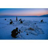 Salzernte am Assalsee: Der Lac Assal, wie er im ostafrikanischen Dschibuti heißt, ist mit 350 Gramm pro Liter eines der salzigsten Gewässer der Erde. Grund für den hohen Salzgehalt ist die starke Verdunstung.