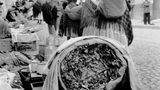 Getrocknete Koka-Blätter auf einem Markt