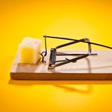 Mausefalle mit Käse