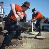 Zwei Männer sägen einen Baumstamm durch