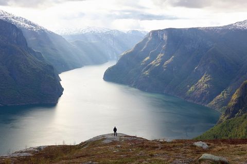 Eine Person steht in einer Landschaft am Fjord
